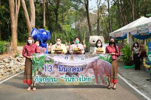 เมื่อวันที่ ๑๓ มีนาคม ๒๕๖๕ พิพิธภัณฑ์ธนารักษ์ จังหวัดเชียงใหม่ เข้าร่วมจัดนิทรรศการ “ช้างกับเหรียญกษาปณ์" และจำหน่ายผลิตภัณฑ์เหรียญ ในกิจกรรมวันช้างไทย ณ สวนสัตว์เชียงใหม่